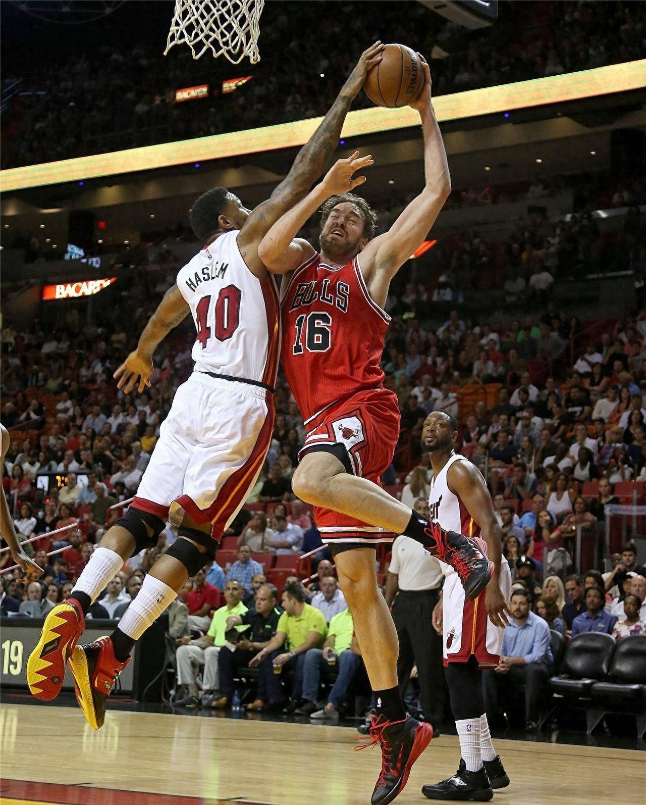 现之所以能 现之所以能